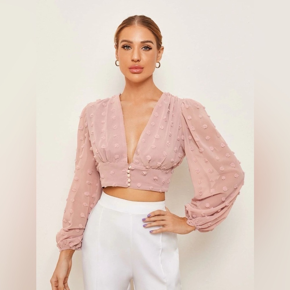 034 NWOT Plunging Neck Lantern Sleeve Pearl button front Swiss dot blouse